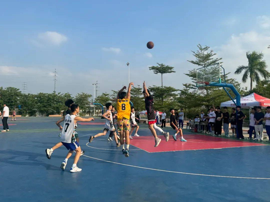 顶级联赛绝对是篮球爱好者们的狂欢节