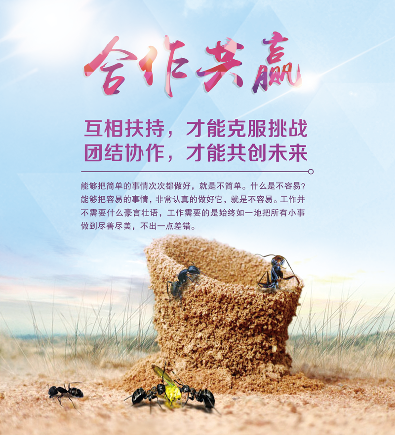 团队力量：合作拼搏，共赢辉煌